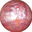Buzzsaw/C bowling ball